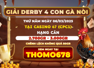 Giải DERBY 4 Con Gà Nòi Tại CPC1 Ngày 6/3/2025